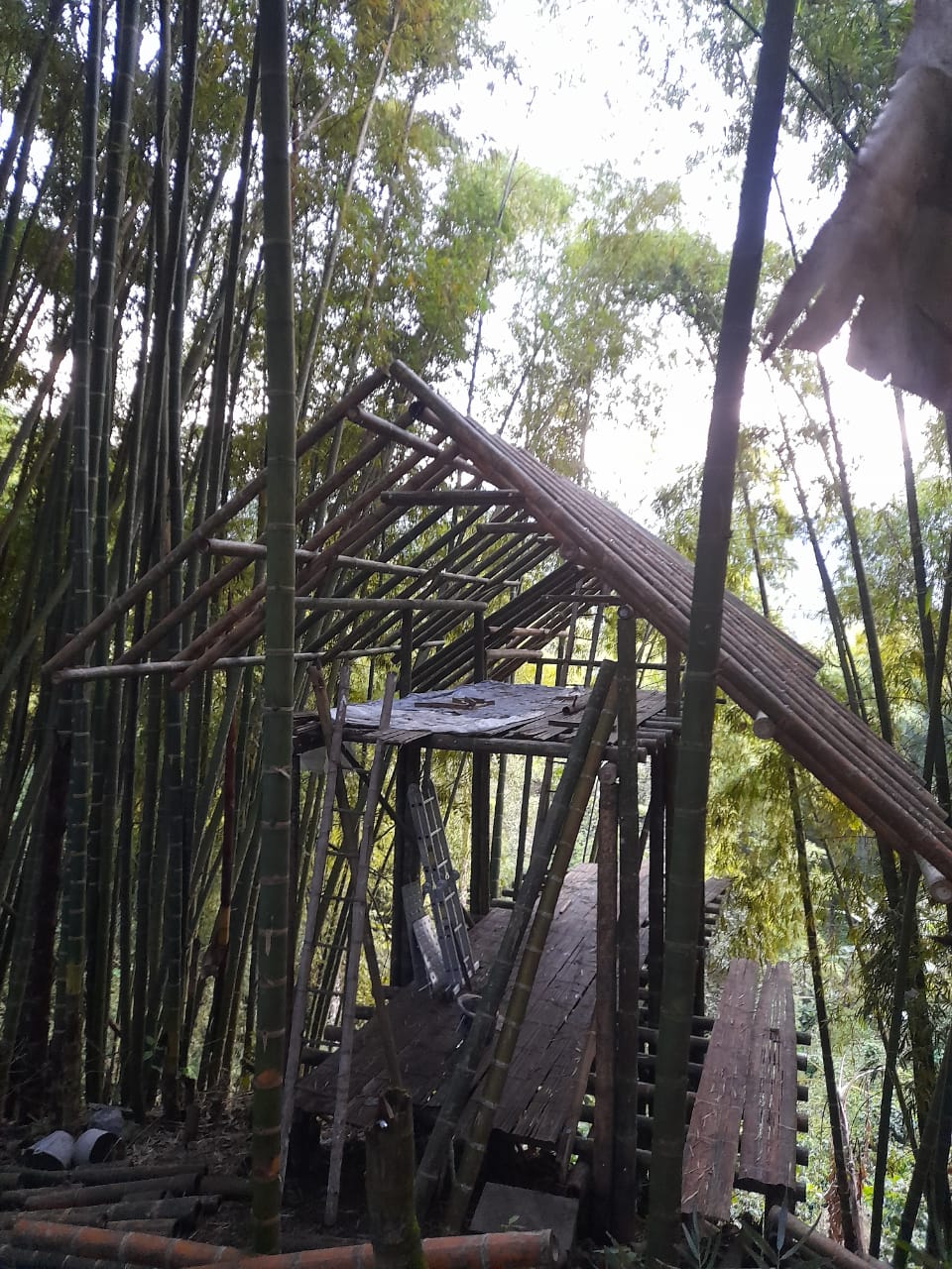 Acabados ecológicos